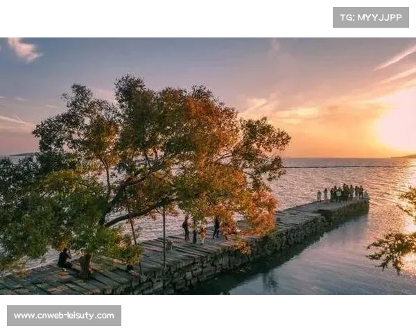 苏州水上赛事助力周边乡村旅游升级 多日深度游受游客青睐 苏州水上赛事助力周边乡村旅游升级 多日深度游受游客青睐